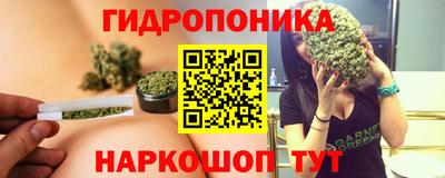 трава Кандалакша