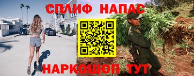 трава Кандалакша