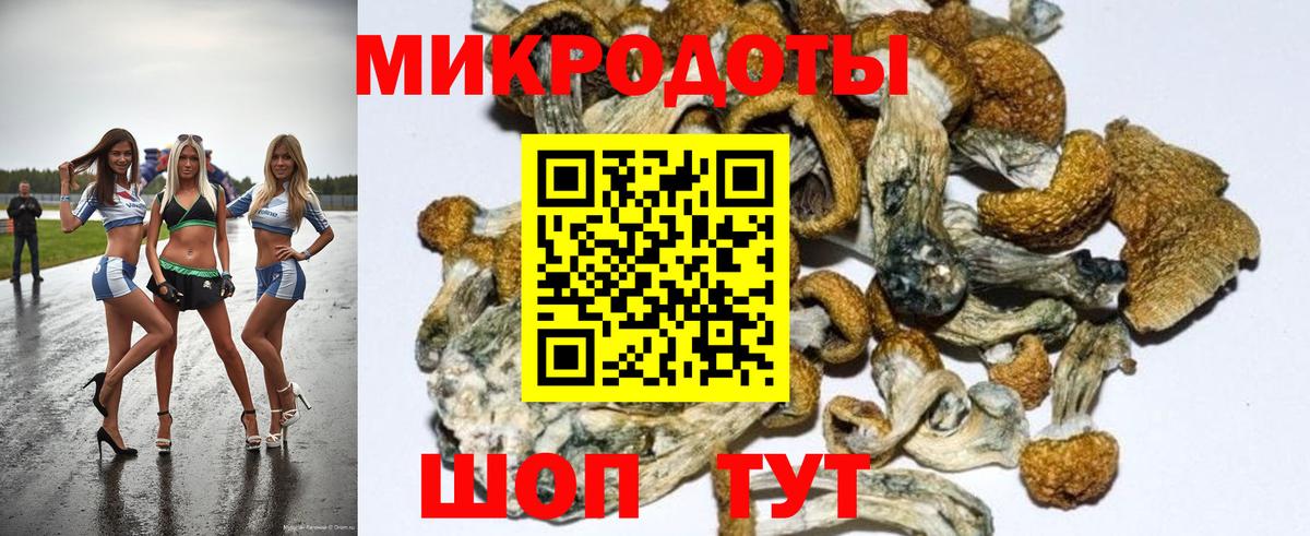 Псилоцибиновые грибы мицелий  Вход с VPN  где найти   Краснознаменск  Псилоцибиновые грибы Psilocybine cubensis 